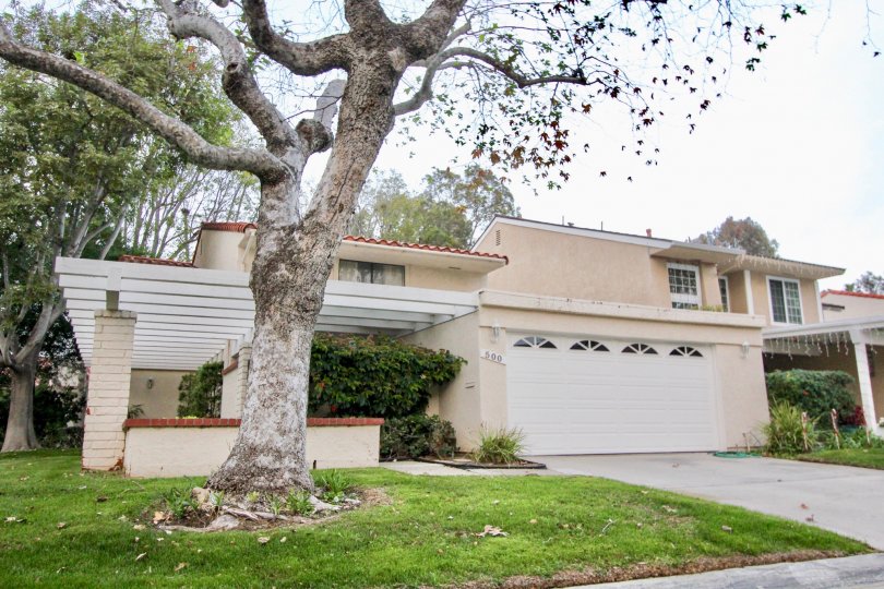 a warm day in the bluffs tennis villas with house that has front of tree on walls