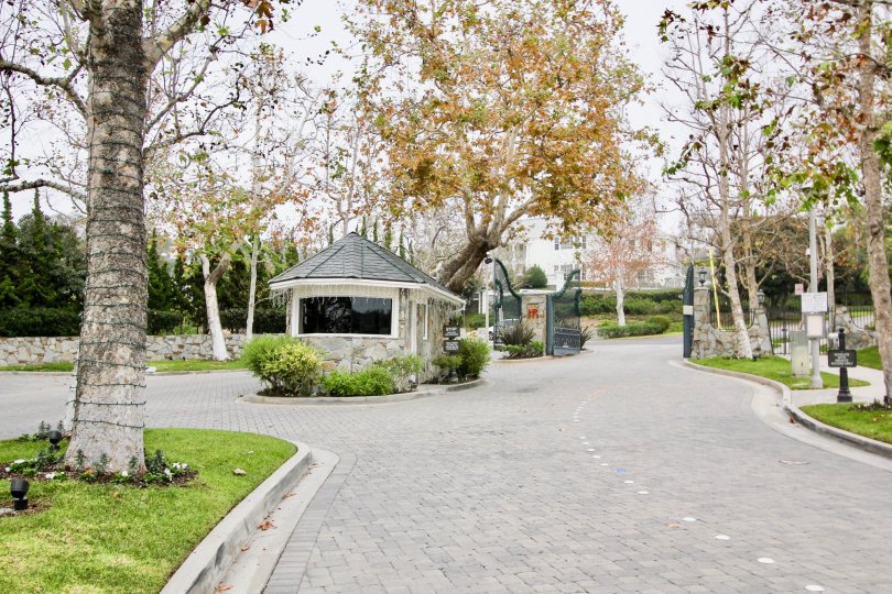 THE PLACE IN THE HARBOR RIDGE COURT WITH THE PLANTS, LAWN, TREES