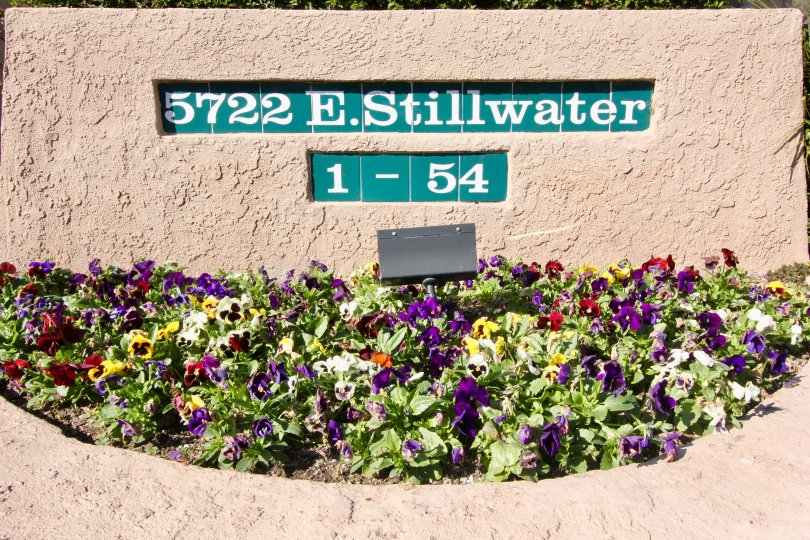 The sign for the Canyon Glen building with a assortment of flowers