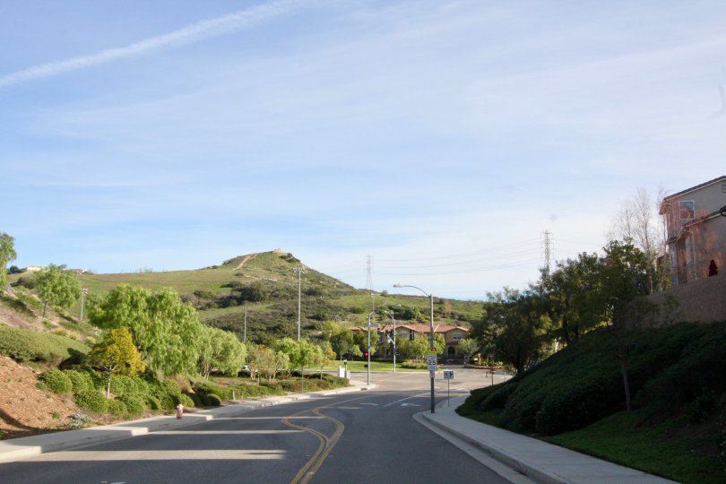 A road centered between lush green fields with bushes trees and rolling hills
