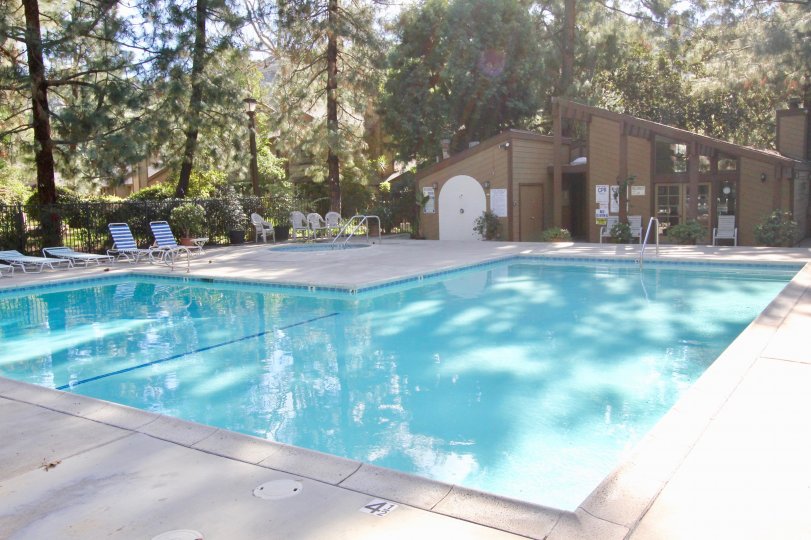 Swimming pool are present in Chapman Townhomes with seating chair and long trees and bushes