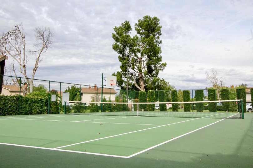 A green tennis court and basketball hoop in Golden Circle Orange, CA.