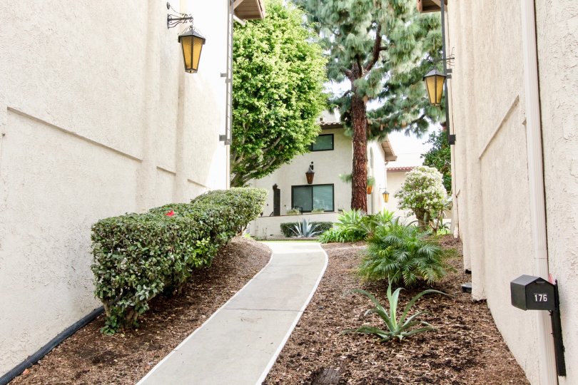 Beautiful landscaping at the Manana Townhomes on a sunny day.
