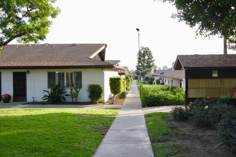 A sidewalk in the Park 72 community with lawns and bushes