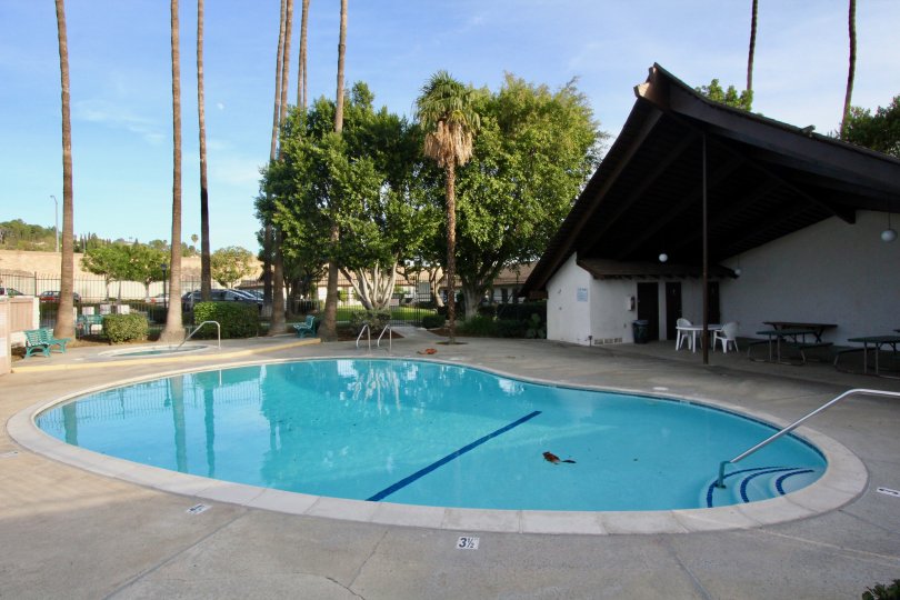 A look at the pool in Park 72, complete with tall palm trees and shade.