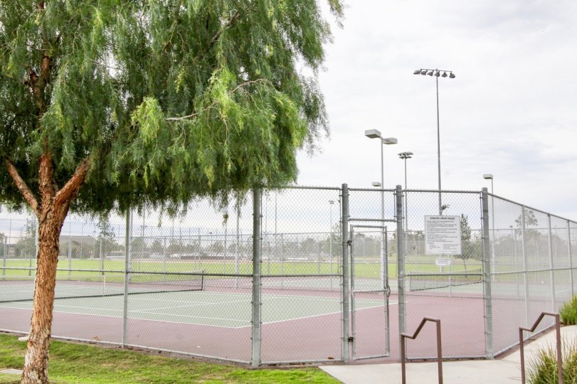 The tennis courts outside Timber Hill with a fence surrounding it
