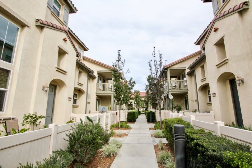 A neighborhood full of beautiful Spanish Style houses in Timber Hill, Orange California.