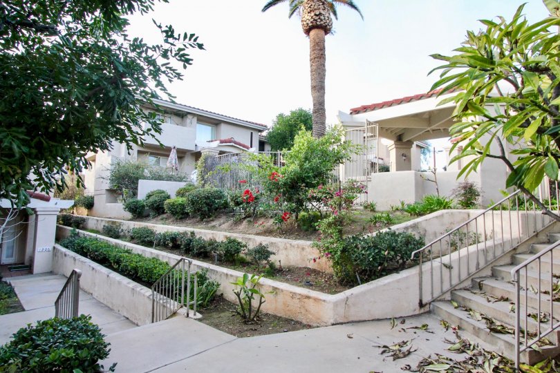 Villa Heights Building with Amazing Location of Beautiful at Orange City in Califorina