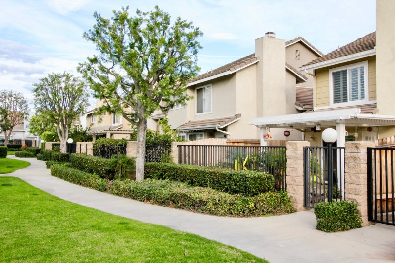 Homes with beautiful landscaping in the Vista Santiago community in Orange, California