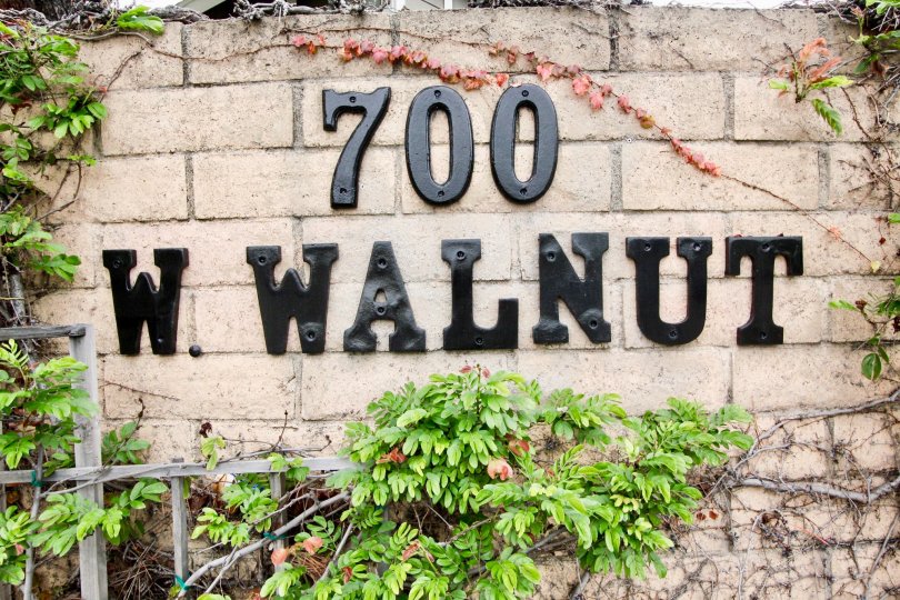 A beautiful day in the Walnut Village with a sign on the wall