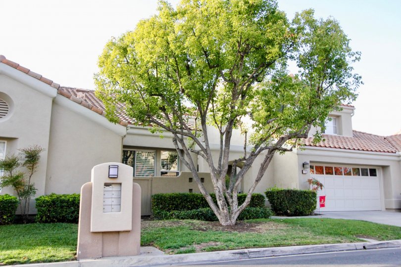 Mailboxes and tree in Alicante in Rancho Santa Margaritia, CA