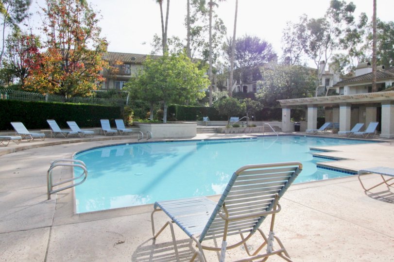Chairs and pool at the Casafina in Rancho Santa Margarita, CA