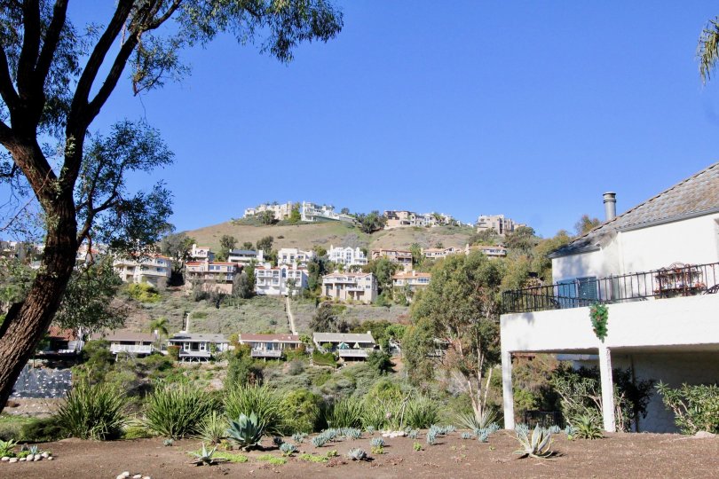 Residences on a hilly landscape in the Las Marias neighborhood.