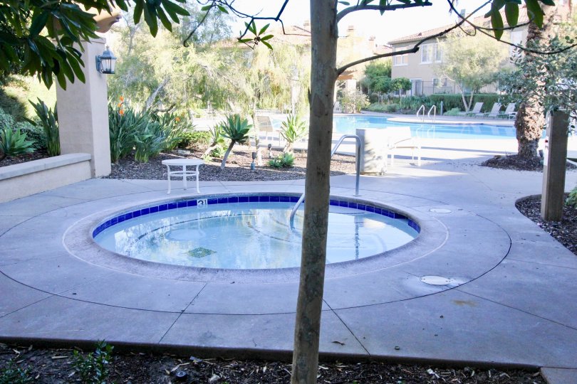 THE SWIMMING POOL AND CHAIRS IN THE VERANO WITH THE TREES, PLANTS, HOUSE