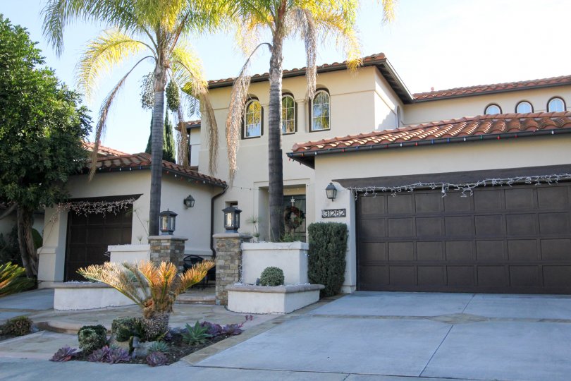 Trees and driveway at Campanilla in San Juan Capistrano, CA