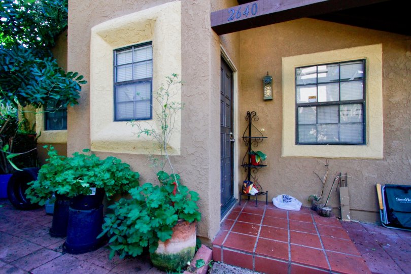 A great day in the Los Quatros Condos in front of a house and plants.
