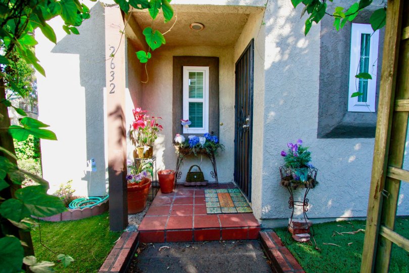 front yard view in front of the building in Los Quatros Condos