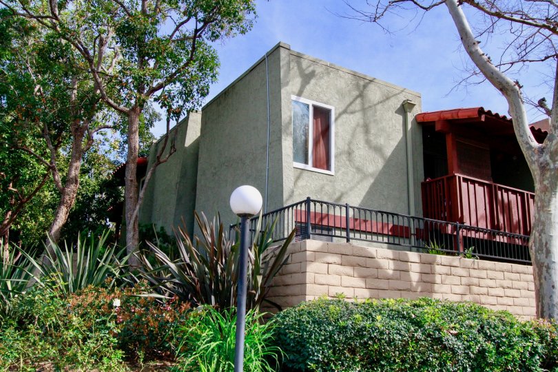 front entrance view in trees and plants in buildings with in MacArthur Village