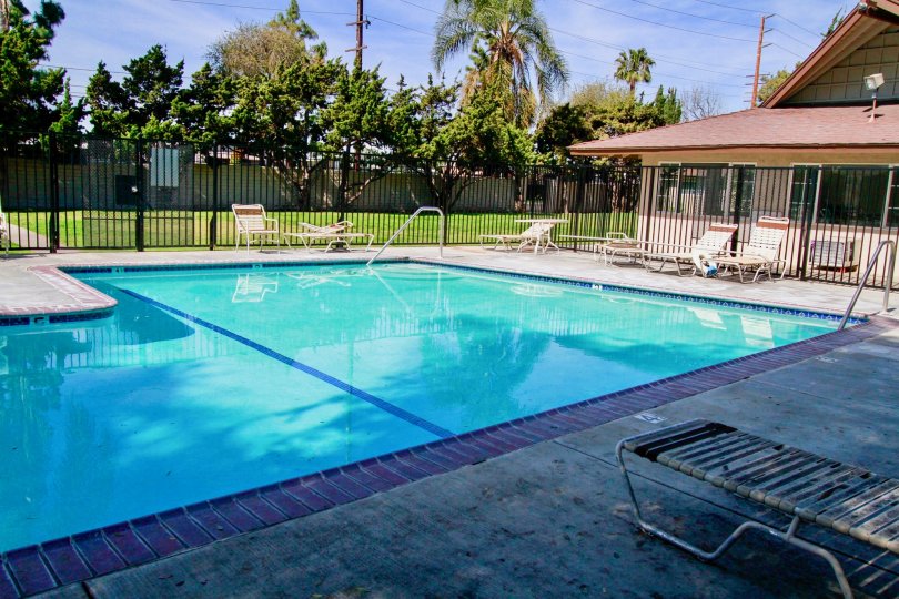 swimming pool decorated with chairs and plants around in Saddlebark Park Villas