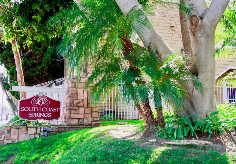 A sunny day in the South Coast Springs with a tree and sign board.