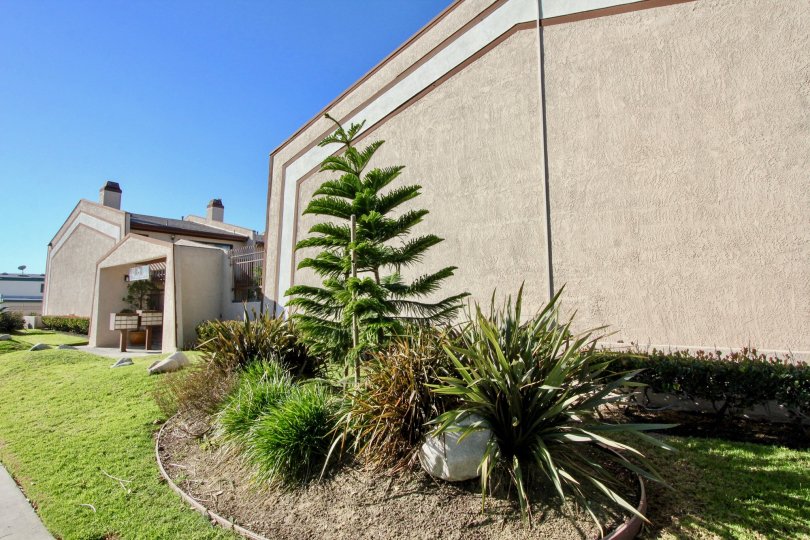 side yard in the community of Bell Terrace in Stanton, CA
