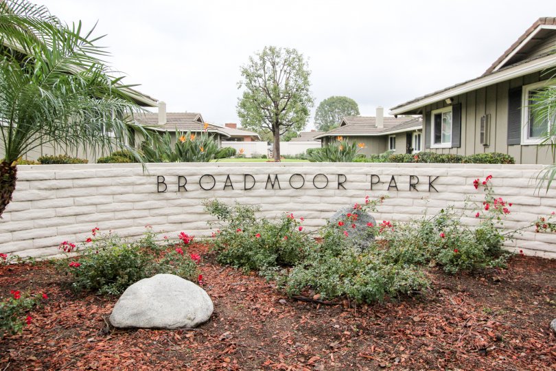 A clear day at the Broadmoor Park Community in Tustin with flowers and palm trees
