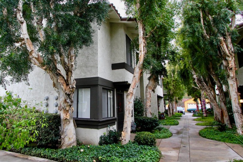 The mature landscaping provides comfort and shade along walkways at the Macaw Cove community