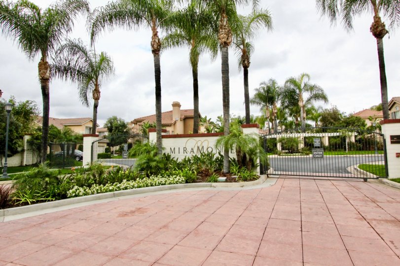 An overcast day by the entrance to the Miramonte complex with palm trees and various plants all around the front as well as behind the gate