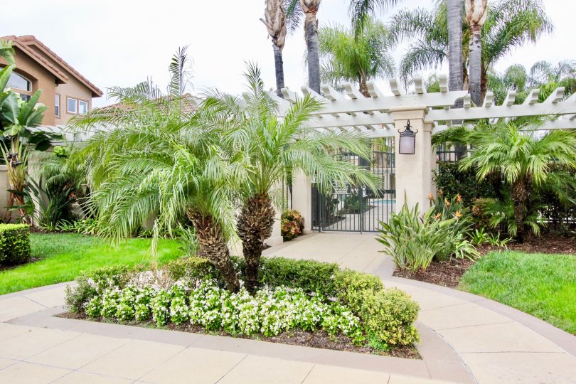 A partly cloudy day by a Miramonte pool gate with light next to it and a curvy walkway and trees, bushes, and other plants placed nicely and uniformly around the area