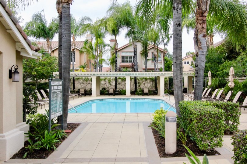 Apartment living in Tustin, California. In the community of Miramonte. Beautiful swimming pool with chairs to lounge in and catch some rays.