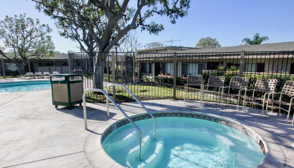 Beautiful round shaped swimming pool with sitting in Tustin Acres of Tustin