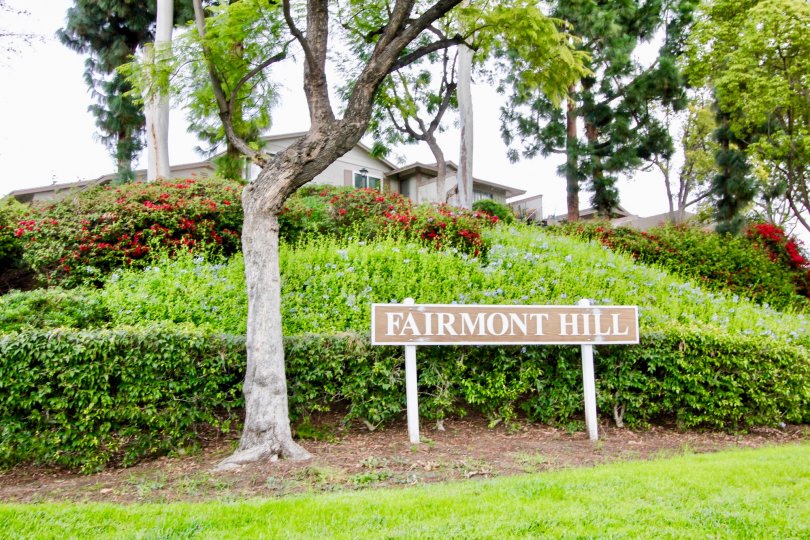 In Fairmont Hill, The board is placed on the pathway with natural trees, lawn and bushes with flowers