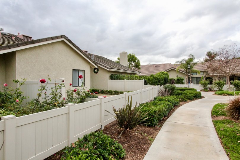 Yorba Meadowood Yorba Linda California place is very apt for walking during evening time for relaxation