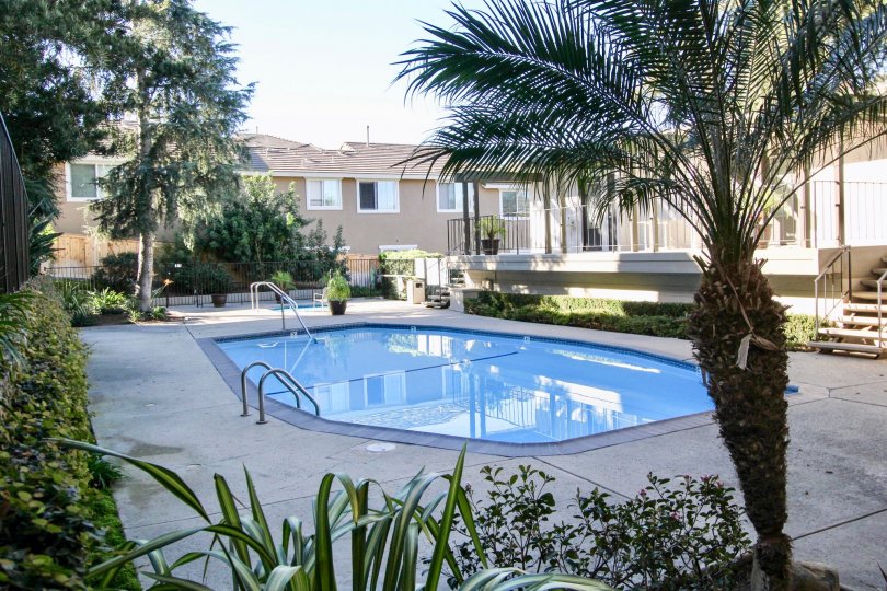 Fabulous swimming pool with palmtrees between villas in La Costa Fairways of Carlsbad