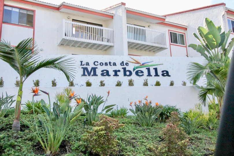 Well Designed Plant in Front of House in Marbella City Carlsbad