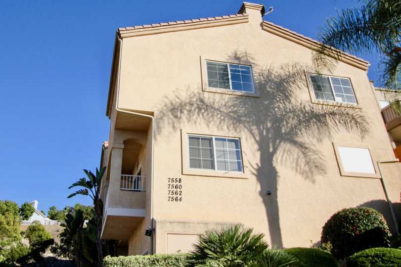 Sunny sky with apartments and windows and a tree shadow in Meadowview Townhomes Community in Carlsbad, CA.