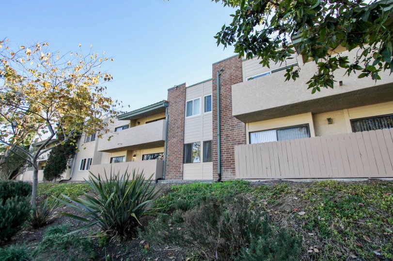 big apartment named as Sabrina Greens located at Carlsbad in CA