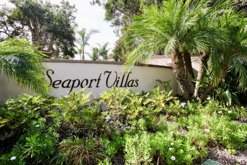 A sunny day in the Seaport Villas with a wall sign and plants.