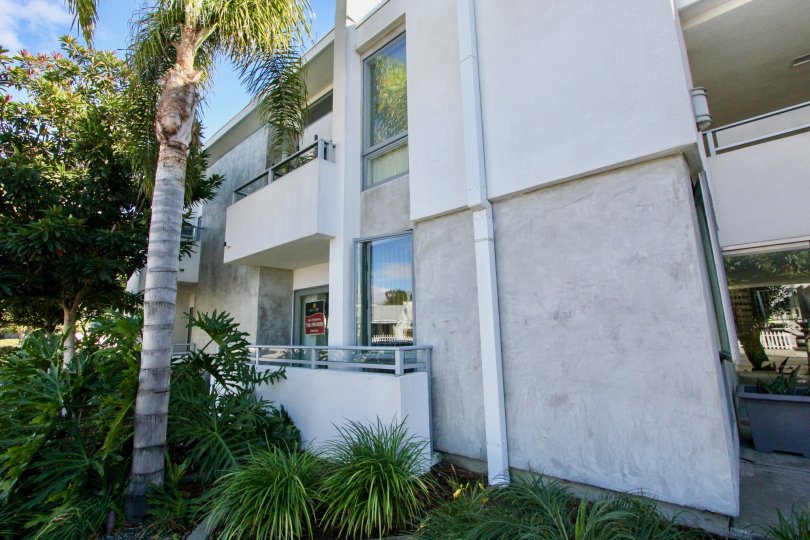 Nice Apartment with palm trees around in South Park of Carlsbad