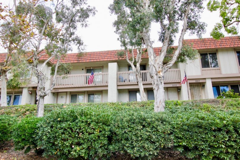 A large two story block of condos sitting behind a large hedge in Tanglewood at Carlsbad CA