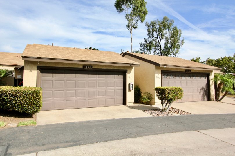 Two car garage, side by side, aluminum door, bushes, trees and palms in view, stucco structure, concrete drive with asphalt road