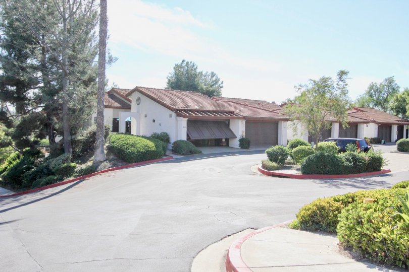 Garages and roads lining the Charter Point community.