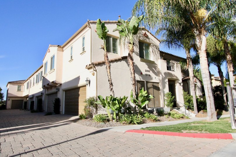 A sunny day in the area of Cordova, brick road, palm trees, garages, windows, condos