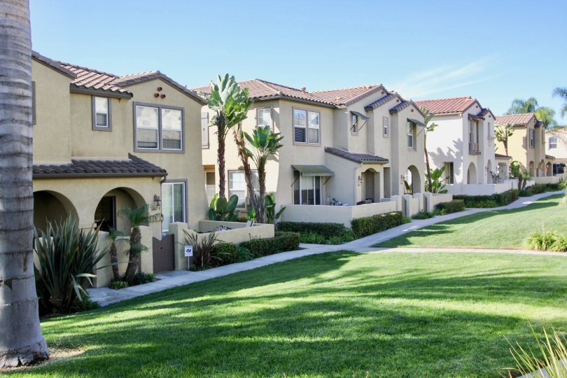 Lots of homes with large front yards in Gold Rush community.