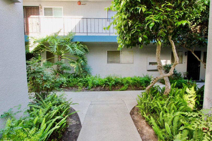 Cole Manor  ,: Clairemont Mesa  , California,, trees ,black hand rail