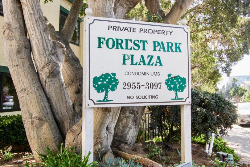 Forest Park Plaza Condominiums a private condo surrounded by beautiful trees located in Clairemont Mesa, CA.
