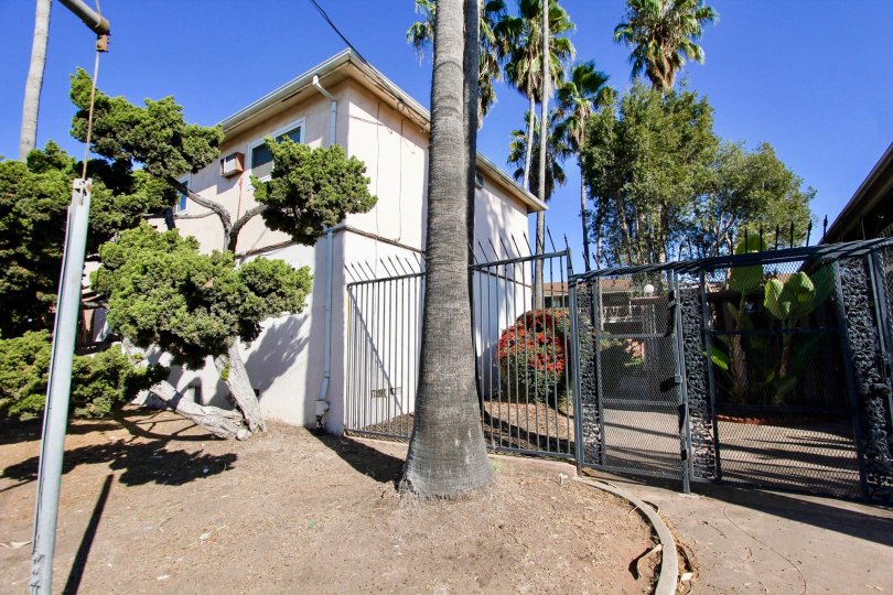 College Gardens ,: College Area   California,blue sky,trees