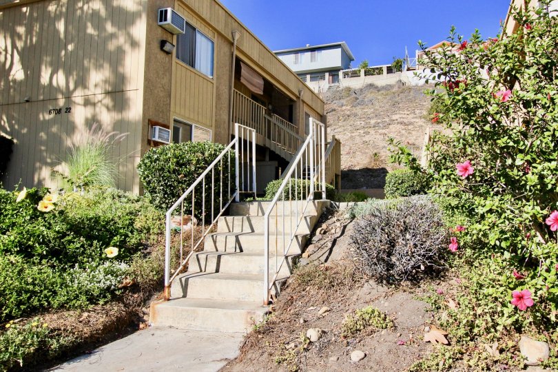 A stair way with hibiscus flowers on a clear blue day in Mesa Greens