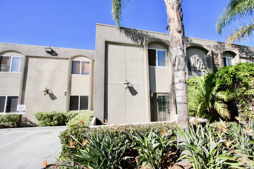 Portico  , College Area ,: California,blue sky,plants