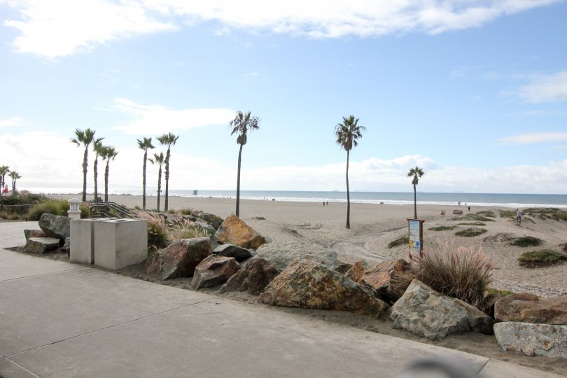 The beach in Beach Village at the Del has tall trees and rocks